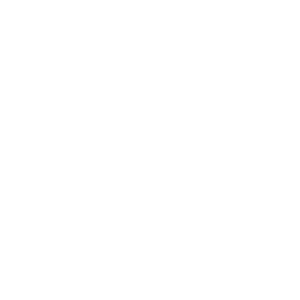 Logo van King's Coaching Wit (512px)